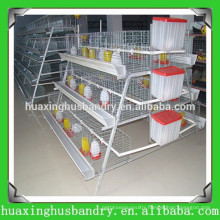 Poultry baby pullet rearing cage,automatic chicken cage system